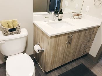 Euro-style cabinetry with quartz countertops